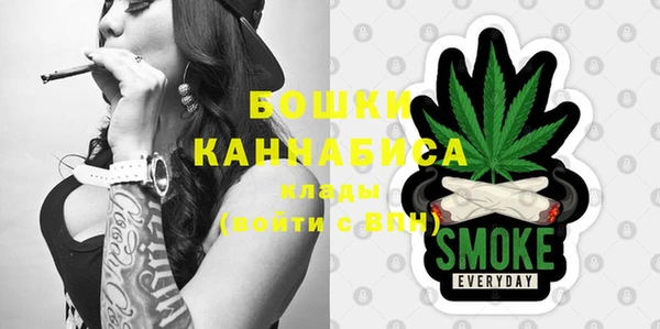 ешки Бронницы