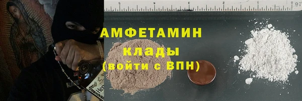 гидра Бородино