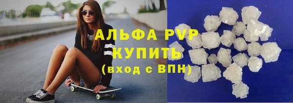 гидра Бородино