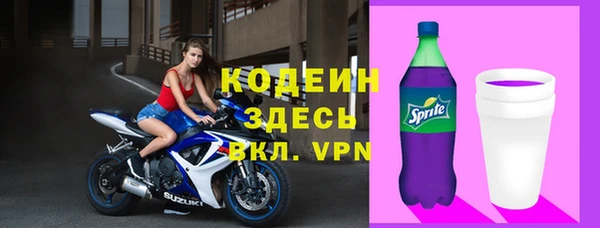 гидра Бородино