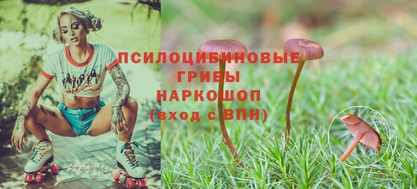 гидра Бородино