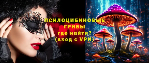 ешки Бронницы