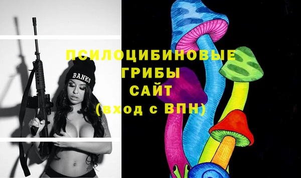 гидра Бородино